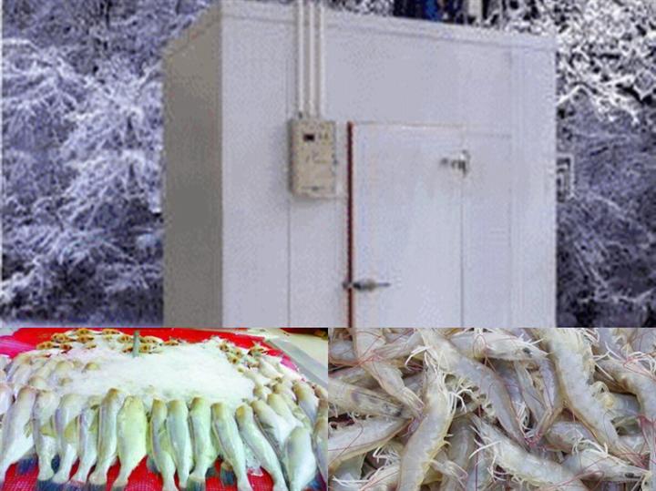 海鲜冷库