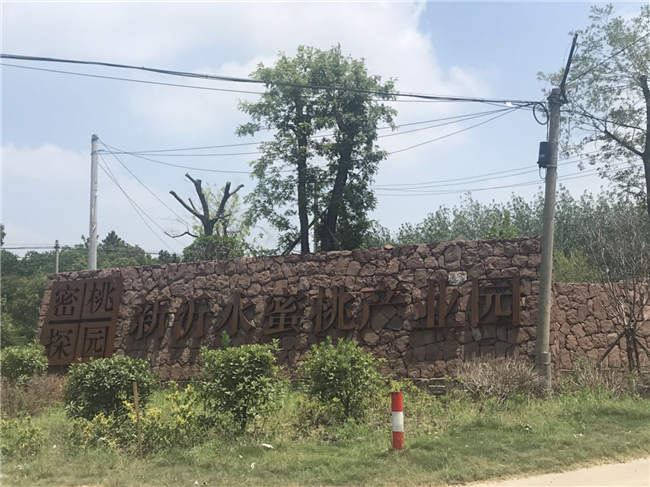 新沂水蜜桃产业园冷库制冷安装
