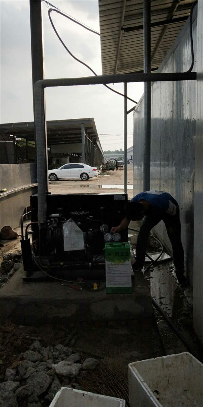 制冷安装东高农产品批发蔬菜冷库